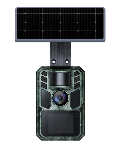 Wachman Alfa Live4G